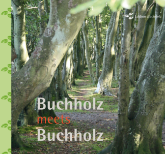 Buchholz meets Buchholz